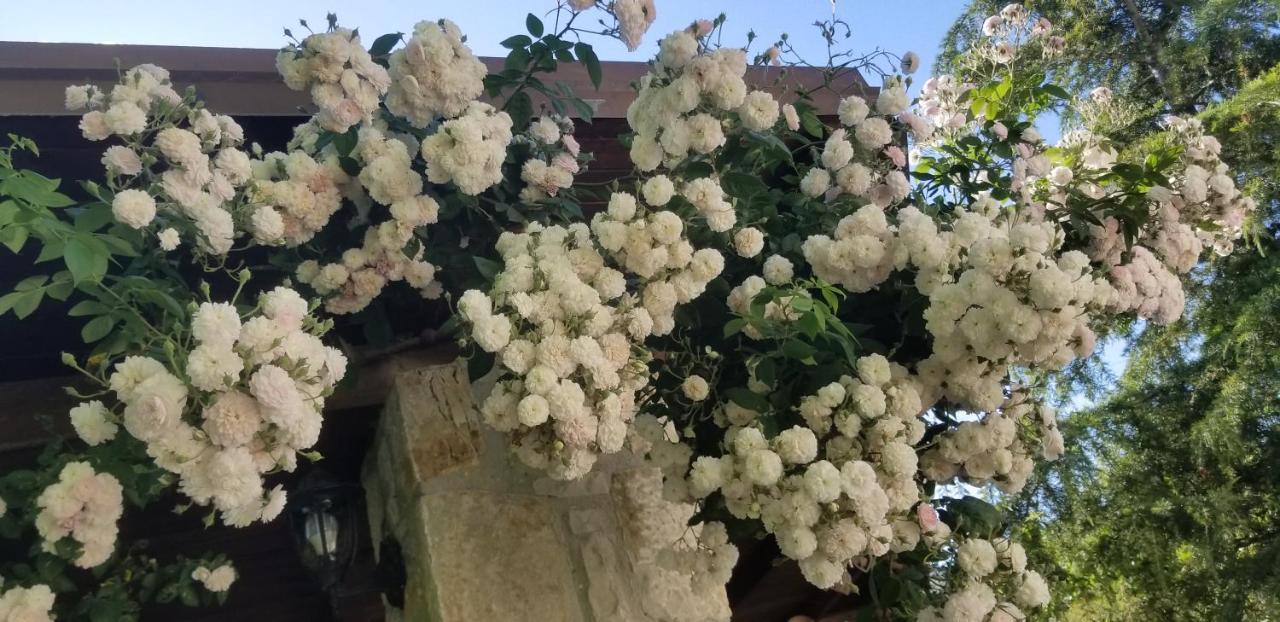 Country House Bubullime Albania Lushnjë エクステリア 写真