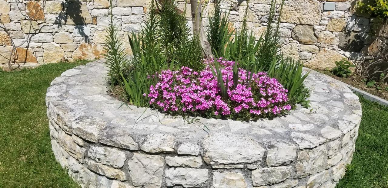 Country House Bubullime Albania Lushnjë エクステリア 写真