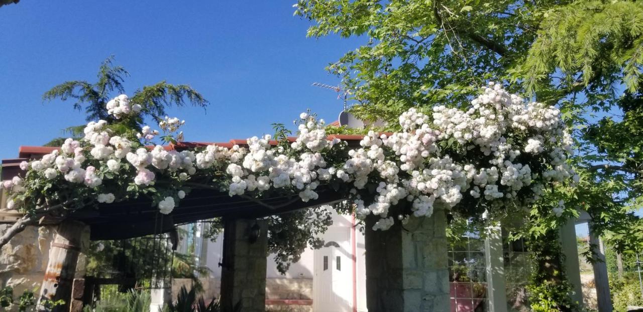 Country House Bubullime Albania Lushnjë エクステリア 写真