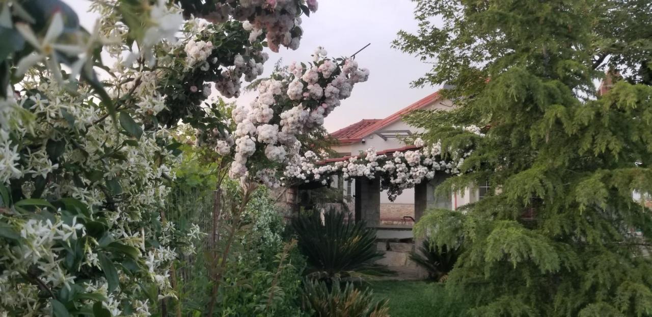 Country House Bubullime Albania Lushnjë エクステリア 写真