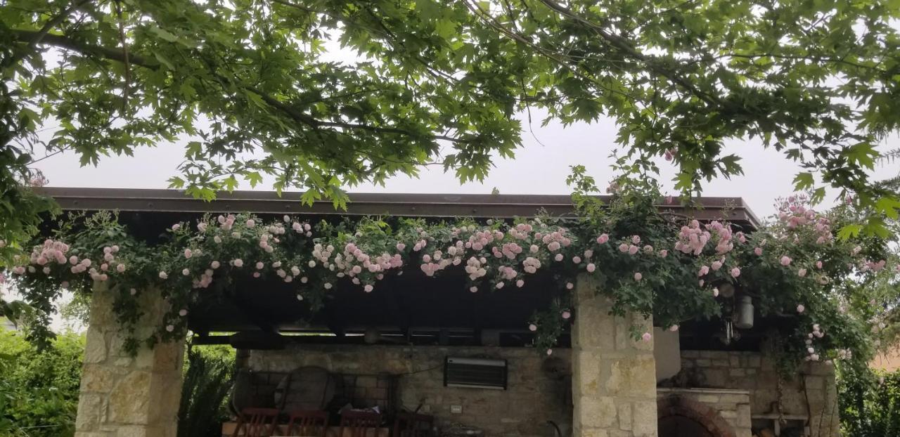 Country House Bubullime Albania Lushnjë エクステリア 写真