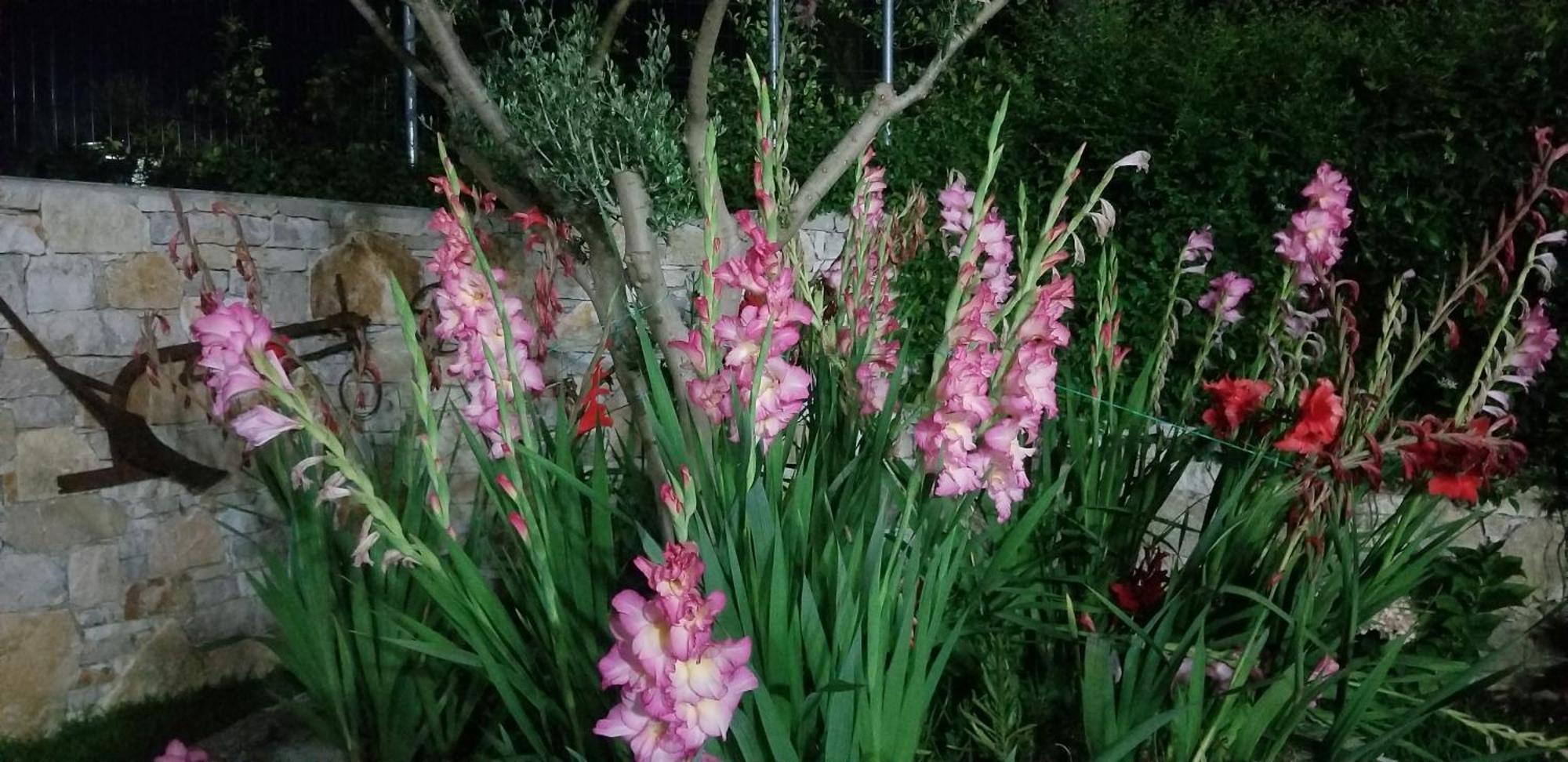 Country House Bubullime Albania Lushnjë エクステリア 写真