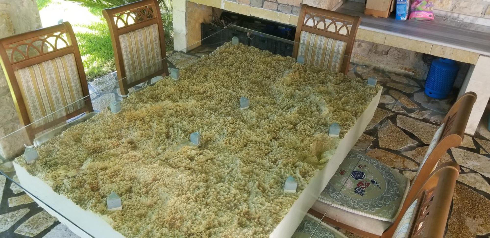 Country House Bubullime Albania Lushnjë エクステリア 写真